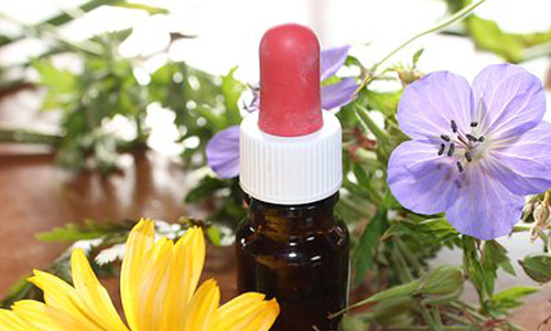 Phytotherapie